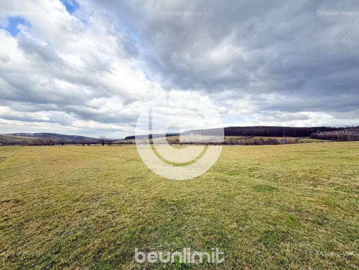 Teren intravilan in Tocile - 4354 m2 - 2 fronturi - oferta competitiva - 20