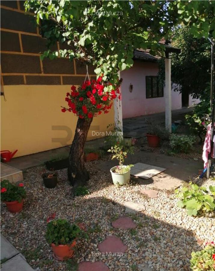 RECO Casa centrala Salonta - 9