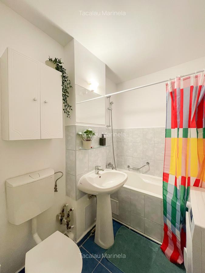 Garsoniera disponibila zona Piata Victoriei / Banu Manta - 18