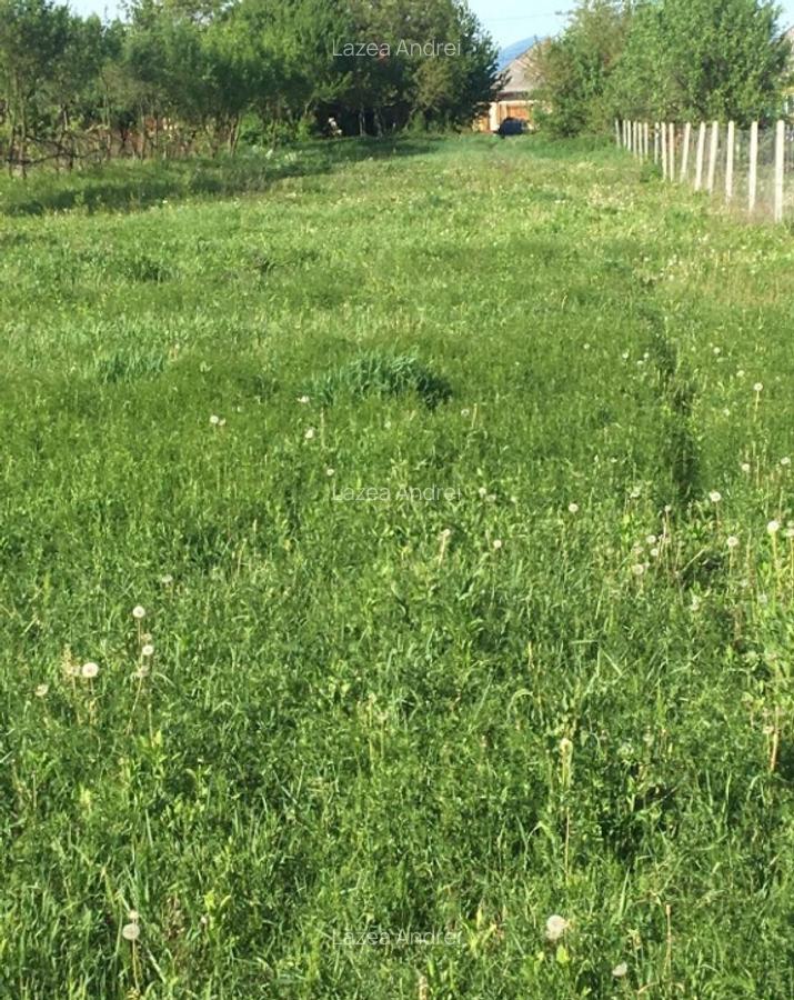 Investeste inteligent! Teren 23 ari Hideaga, Maramures! - 1