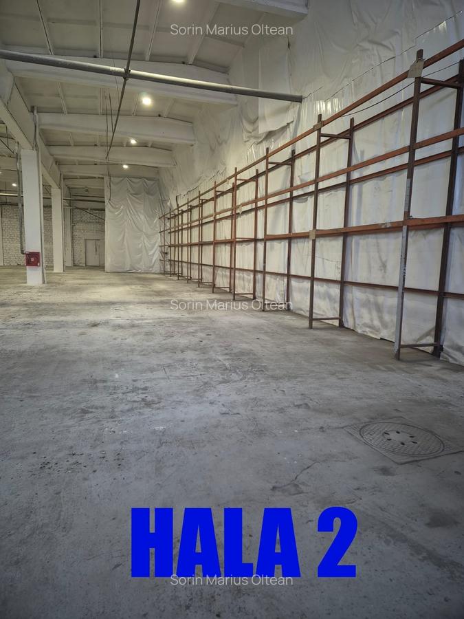 Hale de închiriat - 7