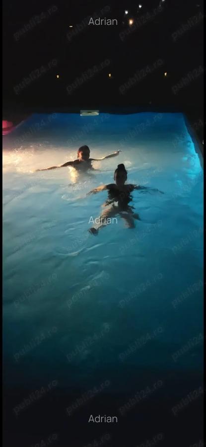 Vand vila cu piscina, beci,foisor. - 2