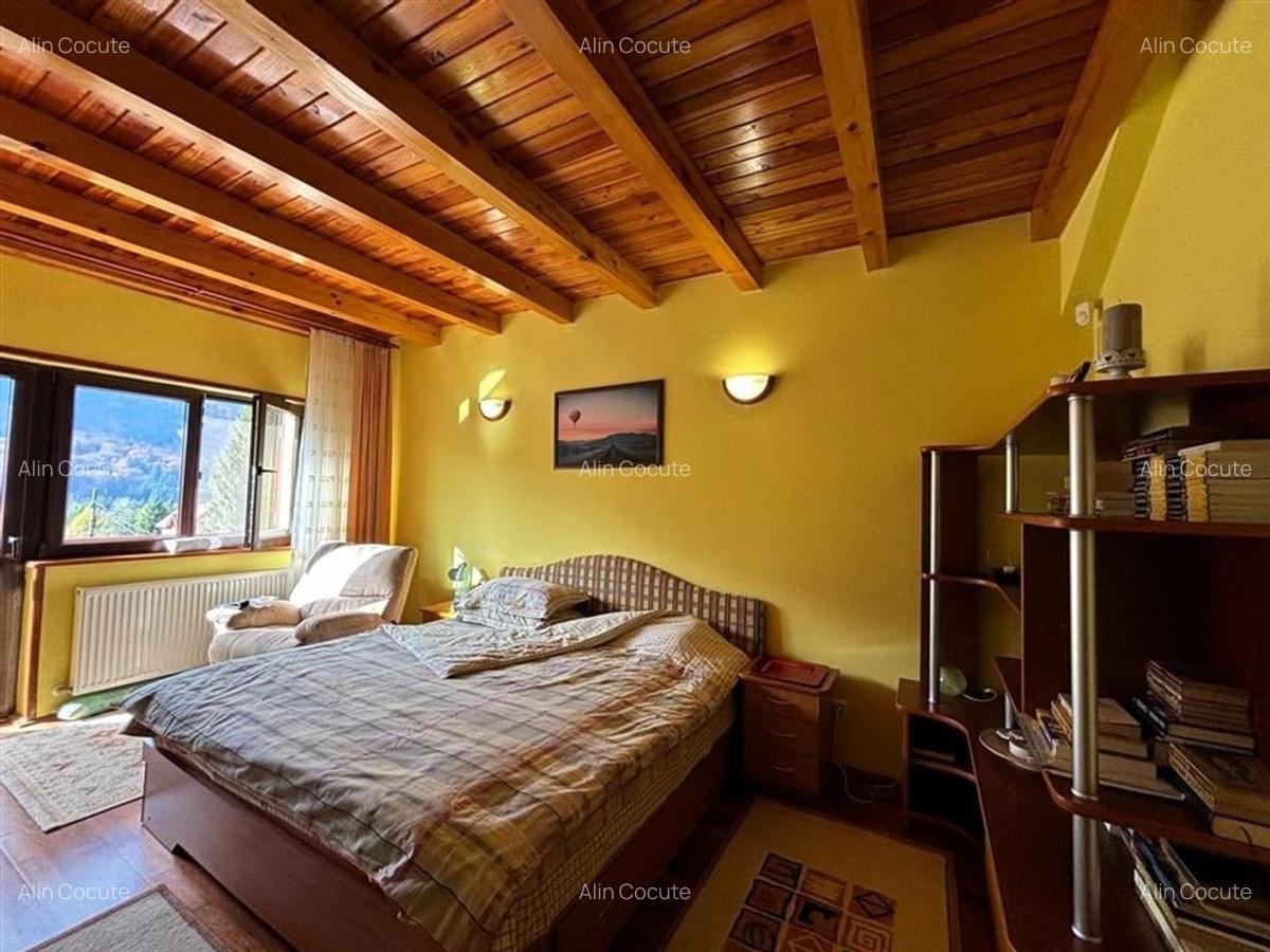 Vila Exclusivista Piatra Arsa Busteni - 7