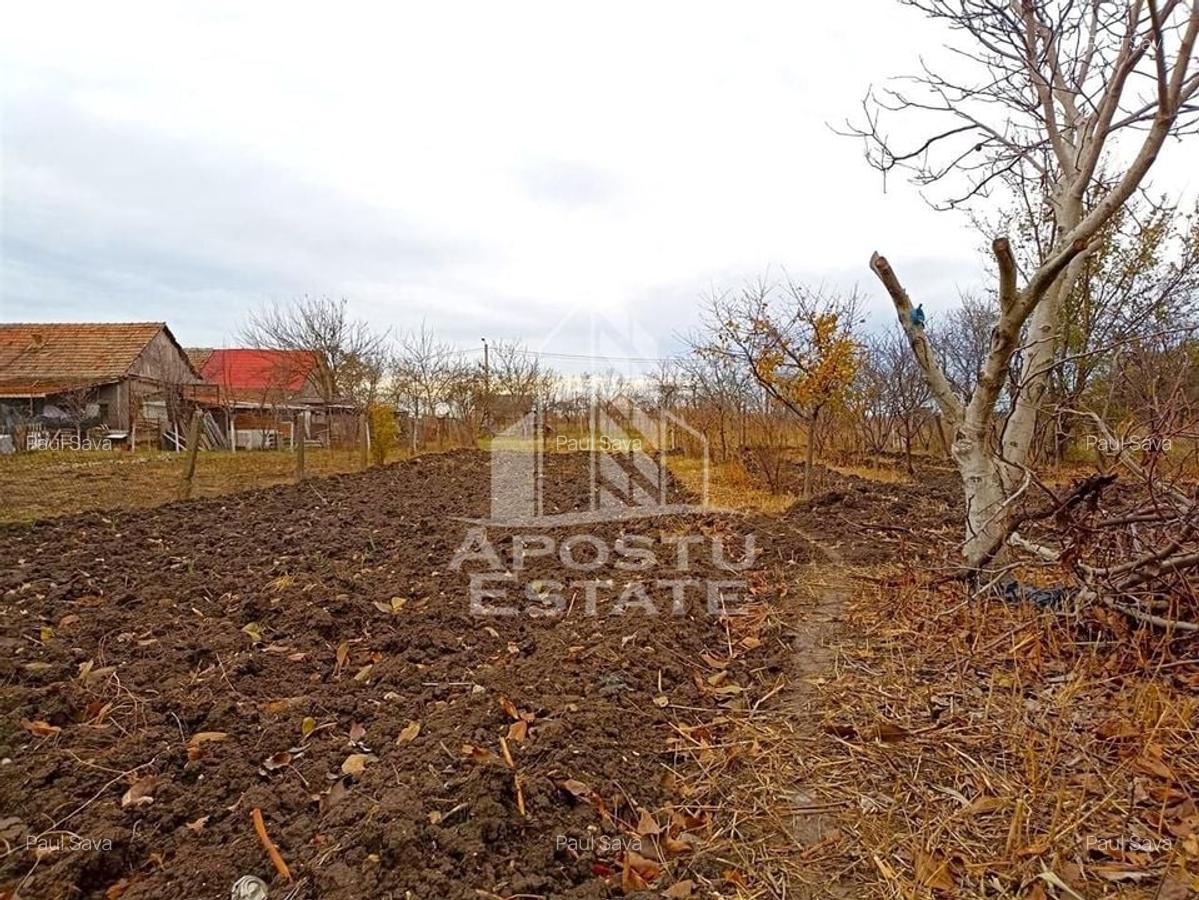 Teren 1000mp Cu Utilitati Dudesti Noi - 3