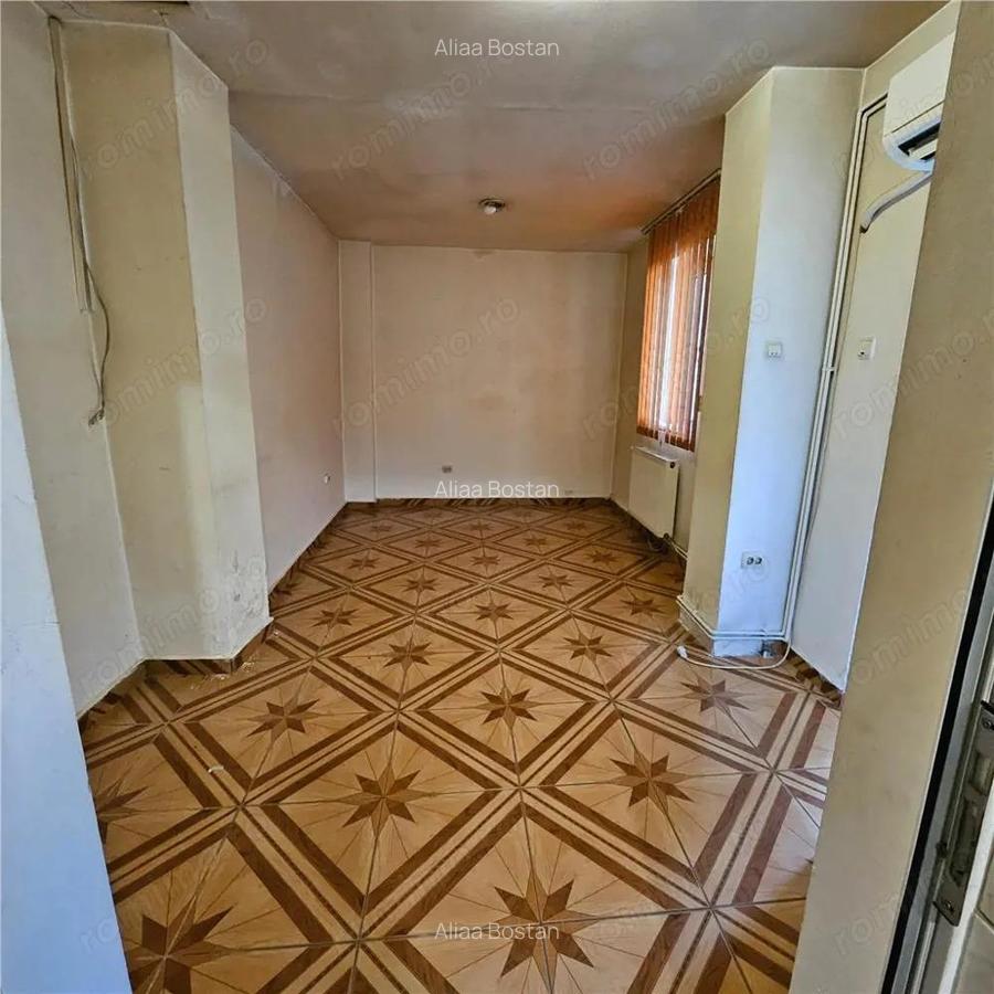 Doua case vecine, cu vad, in Bucure #537;ti, Tineretului, Parcul Carol - 6