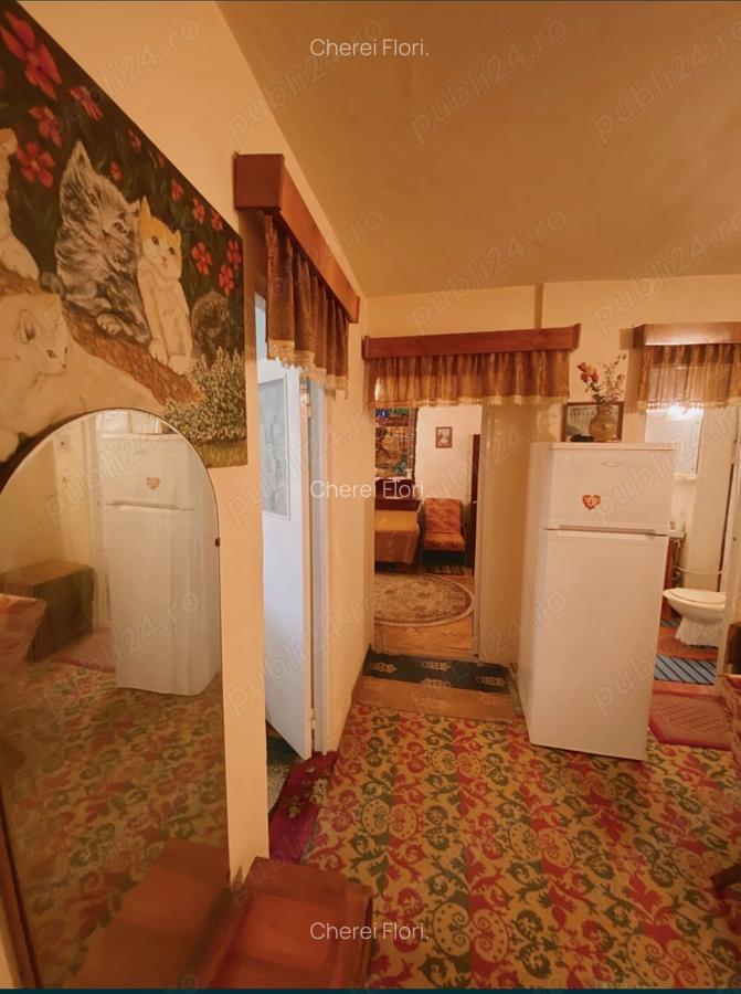 Vand apartament cu 2 camere in Brad - 6