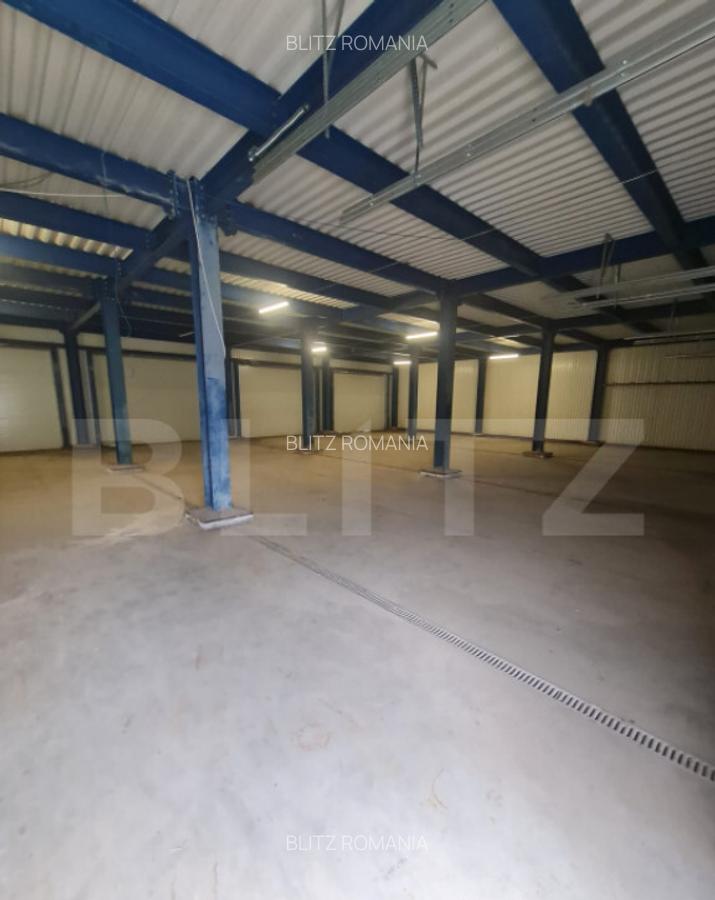 Hala open space, 400 mp, inaltime 4,5 m, Luna de Sus - 2