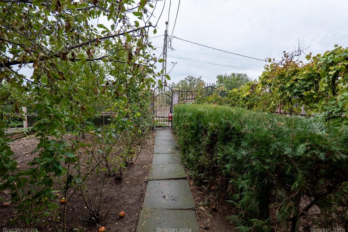 Casa 4 camere Bragadiru Dumbravei - 20