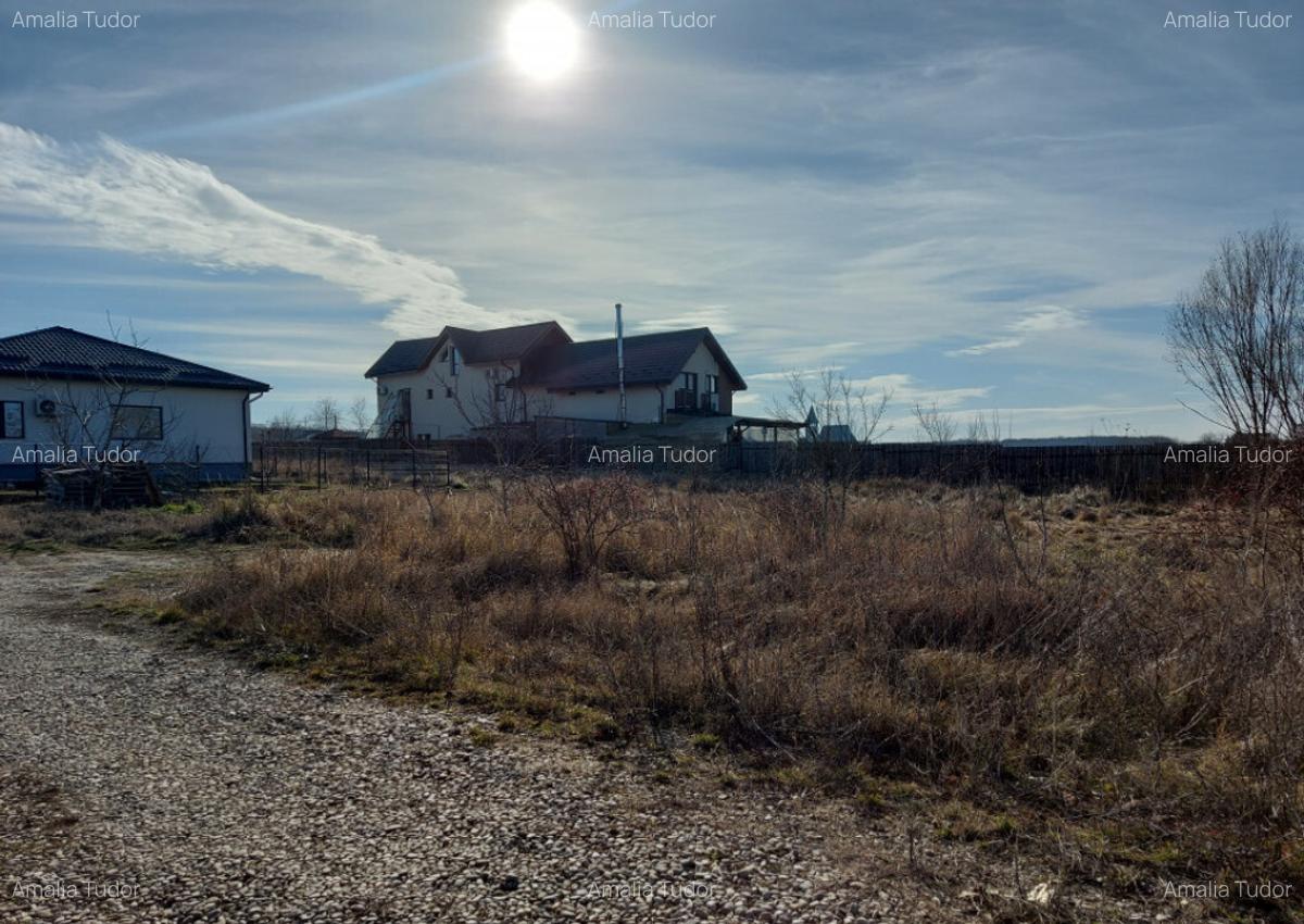 Loc de casa cu utilita?i, 944mp, 29m deschidere, Cioflice - 10