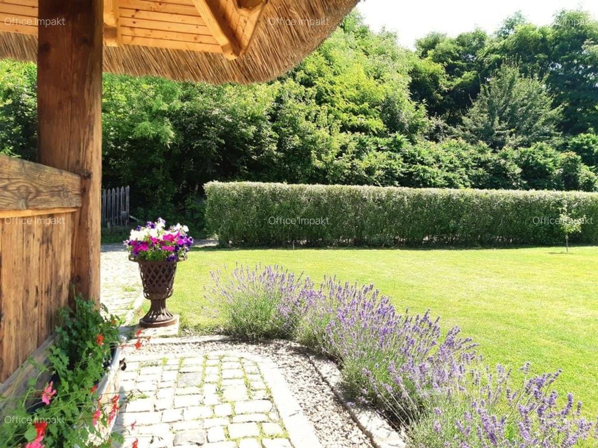 Casa traditionala de vis, aproape de Cluj-Napoca - 6