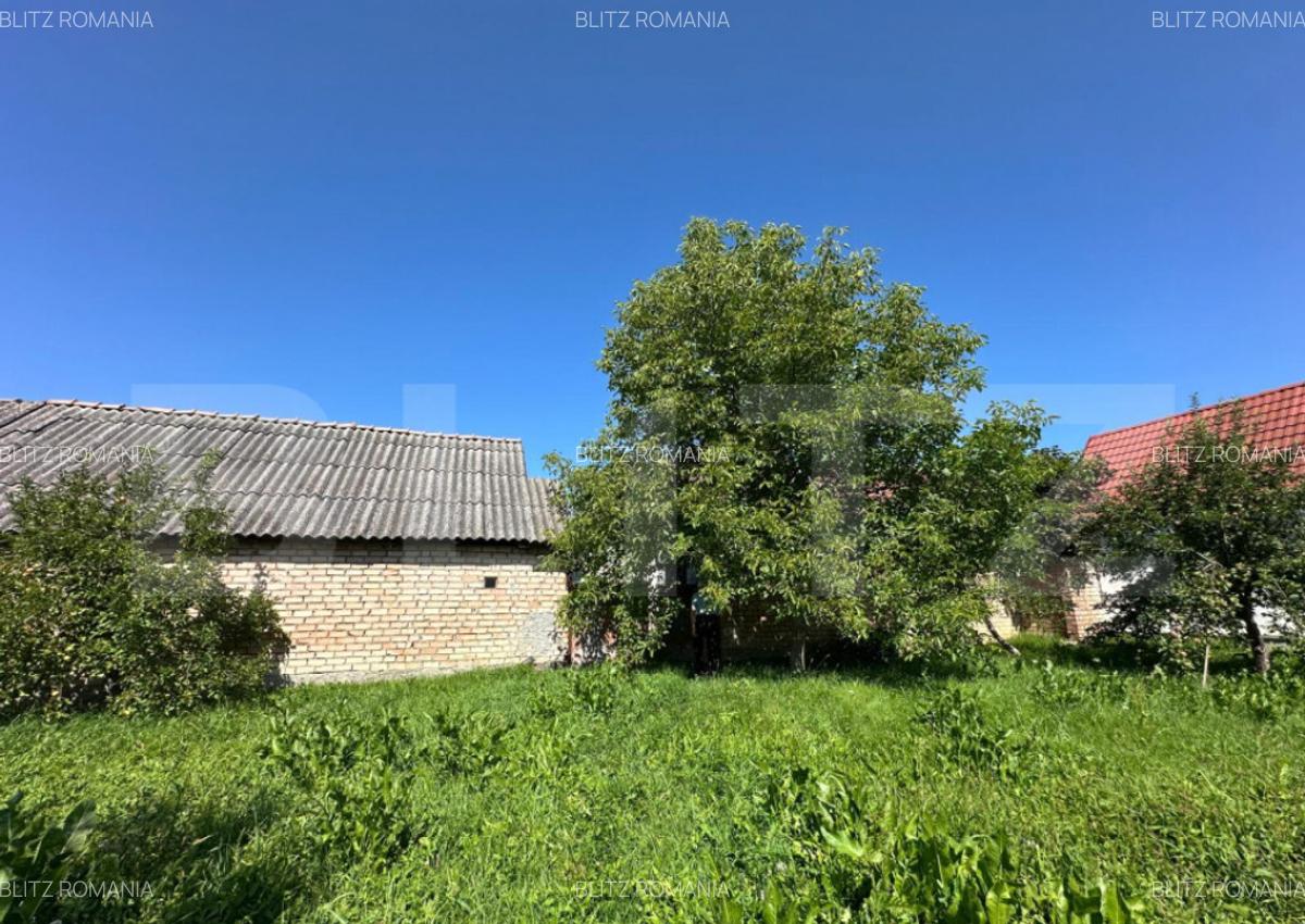 Casa saseasca de vanzare, curte, gradina, teren 3000 mp - Ji - 8