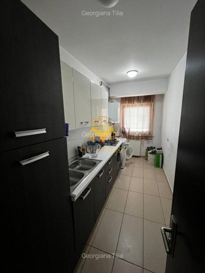 1 camera, Intre Lacuri, garaj, zona Iulius Mall, FSEGA, Profi - 4
