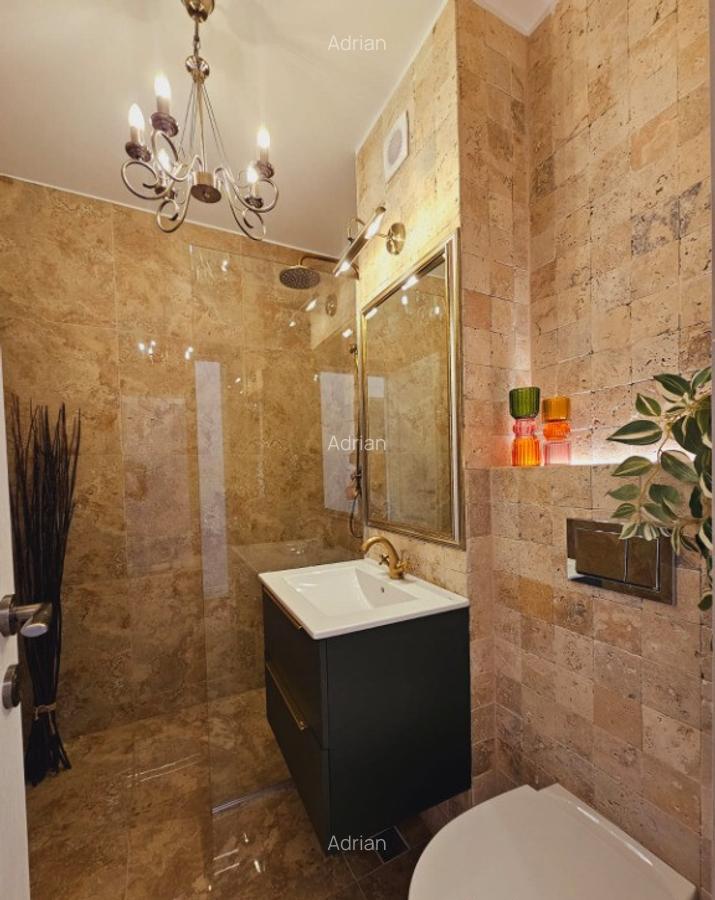 Proprietar apartament 2 camere Kiseleff-Piata Victoriei-Banu Manta - 5
