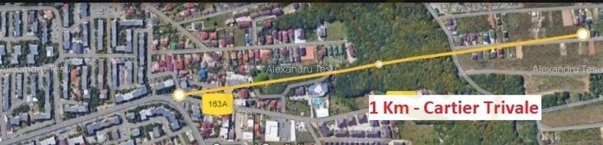 Teren Trivale - Aleea Bradului - Zona excelenta - 2
