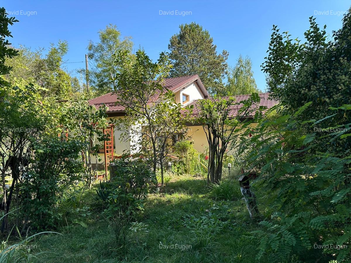 Locuinta de vacanta / rezidentiala - - 2