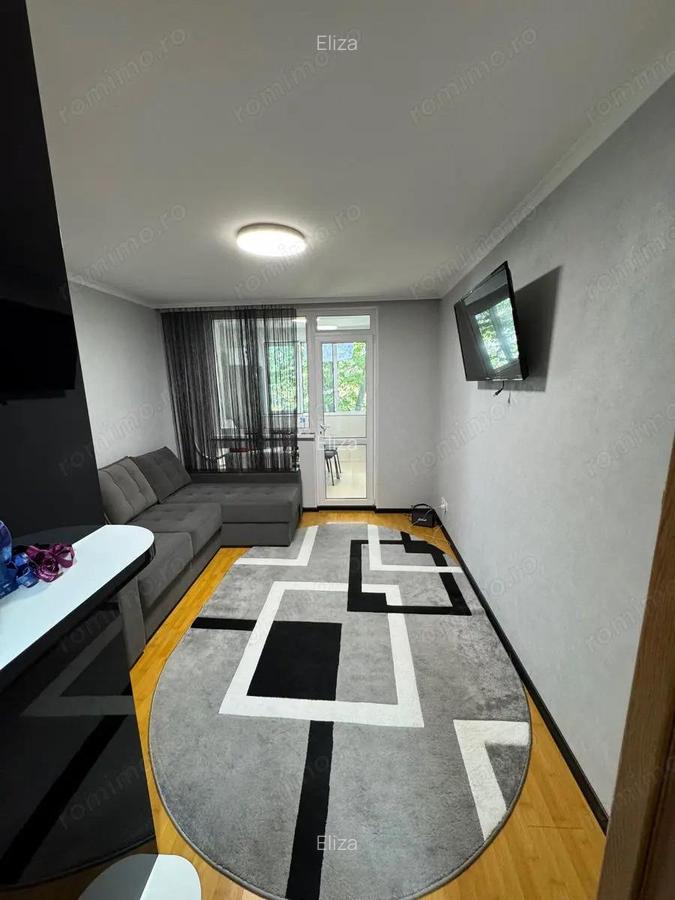Apartament cu o camera de vanzare zona Buziasului - 2