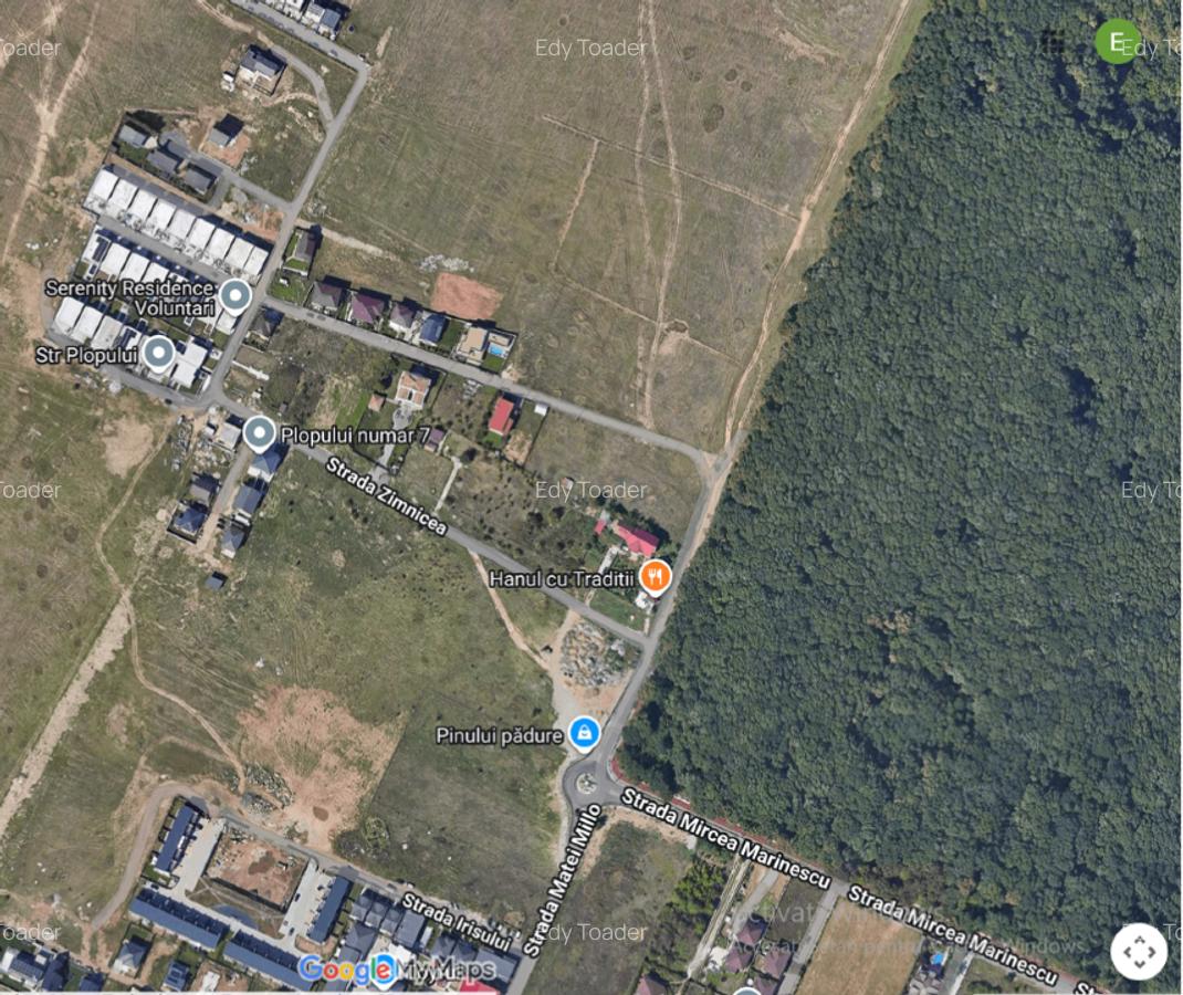 Particular TEREN INTRAVILAN in PIPERA (Matei Millo) și in COMUNA BERCENI - 1