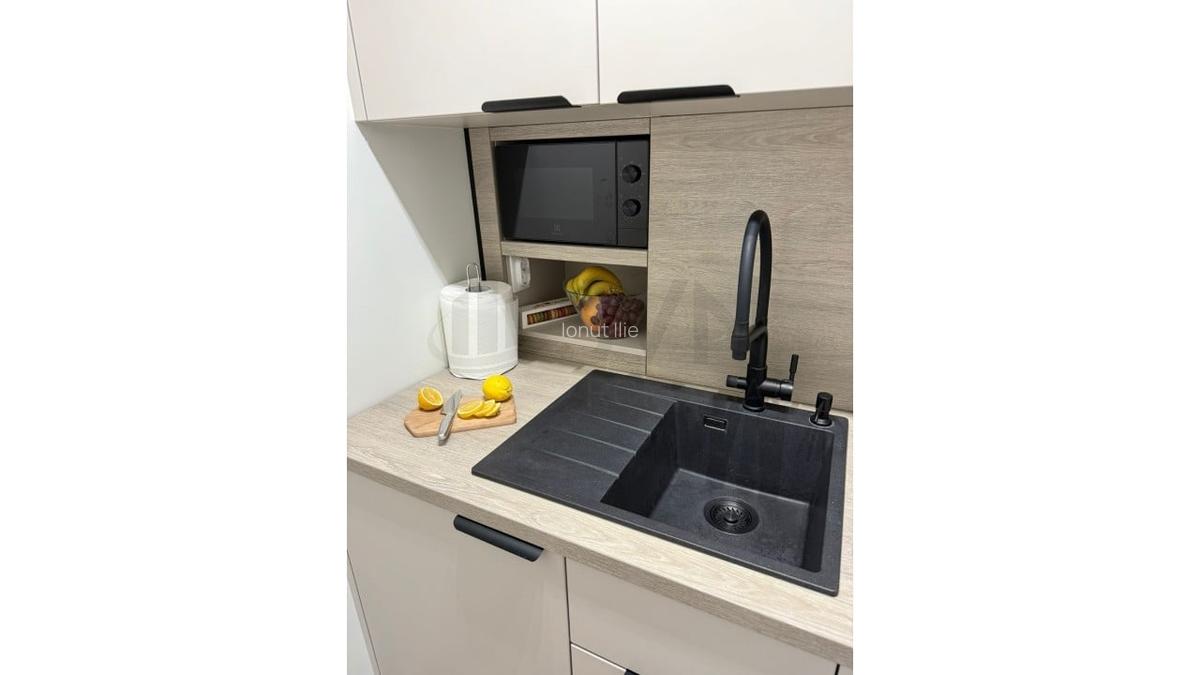 REA1024293 Apartament 2 camere Cismigiu I Plevnei - 14