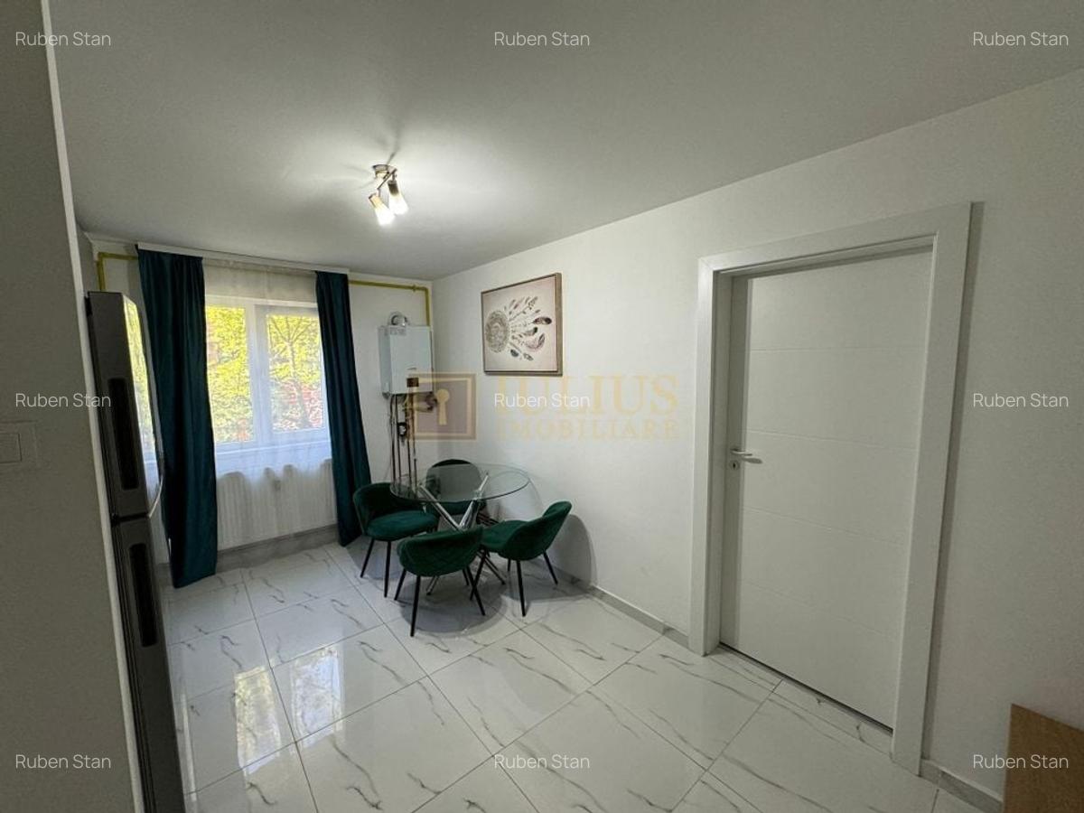 Sagului - Ana Ipatescu, 2 camere, centrala proprie, amenajat modern. - 11