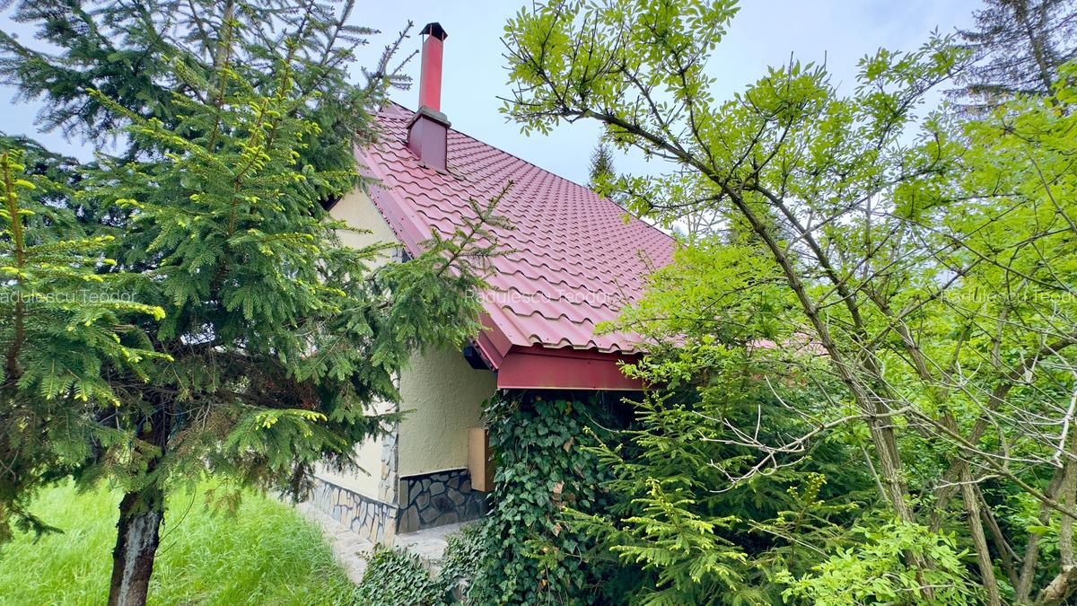 Vila vacanta Cheia - Prahova, pretabila pentru investitie - 8
