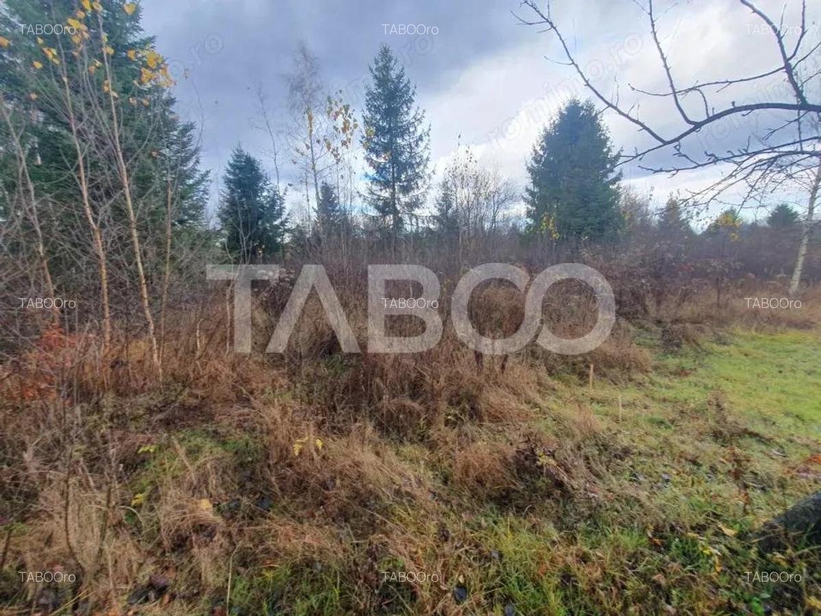 Teren extravilan 1000 mp Statiunea Climaterica Sambata de Sus - 3