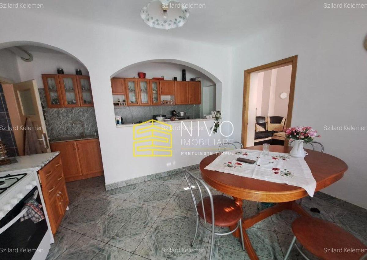 Casa singur in curte Santana de Mure? - 4