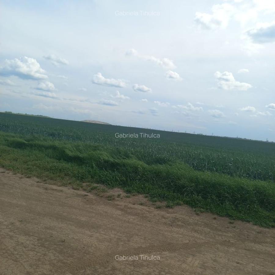 Teren ideal pentru dezvoltare rezidențială 10.000 mp, deschidere 44 m Utilitati - 7