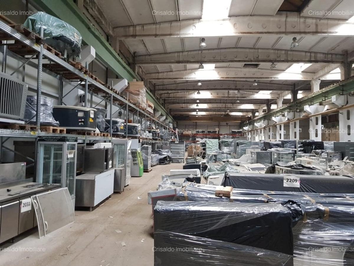 Spațiu industrial, 4000 mp în Băneasa - 3