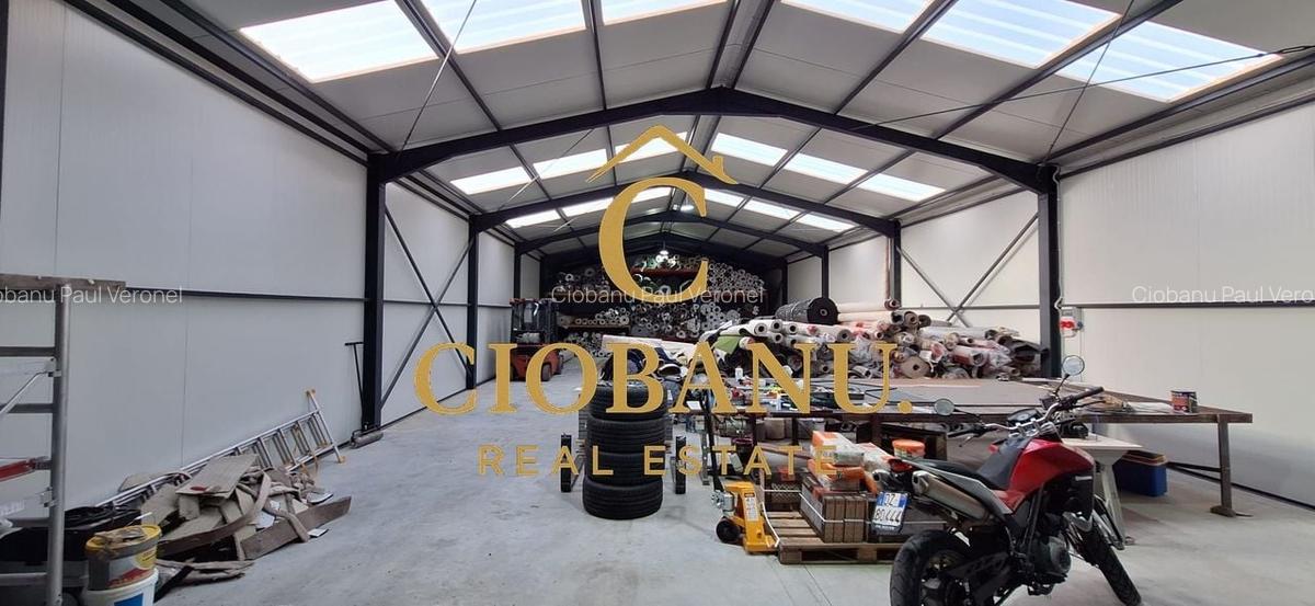 Hala de vanzare in Racari de Jos - 11