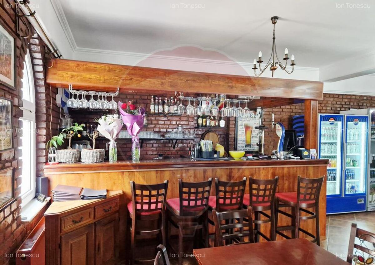 AFACERE DE VANZARE - RESTAURANTUL DON CHIRIAC - 21