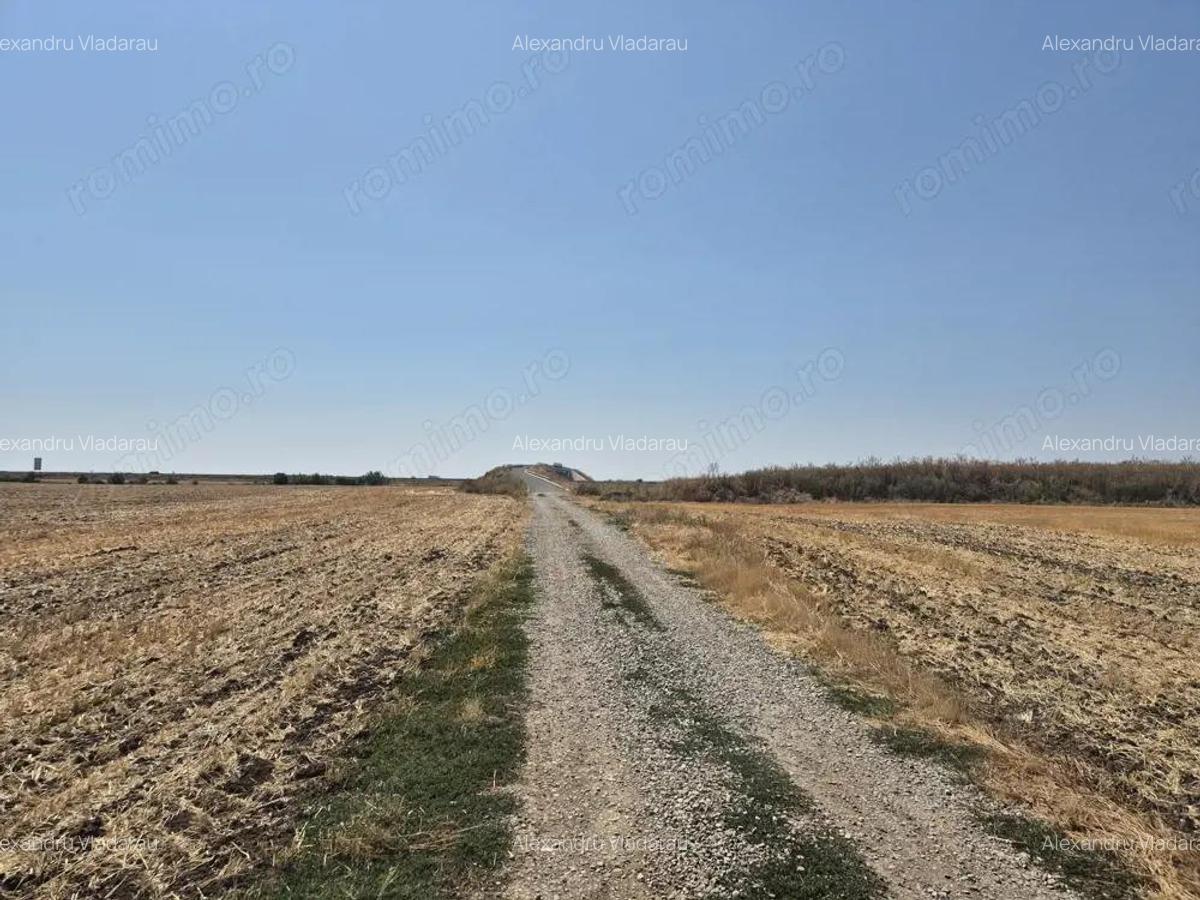 Teren intravilan 4428 mp - Balotesti - 4
