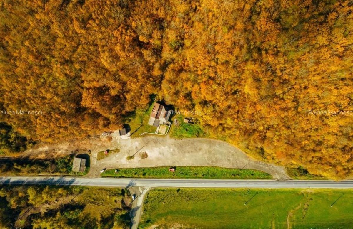 Pensiune 12 camere, vulcanizare, spălătorie pe DN7 - 8
