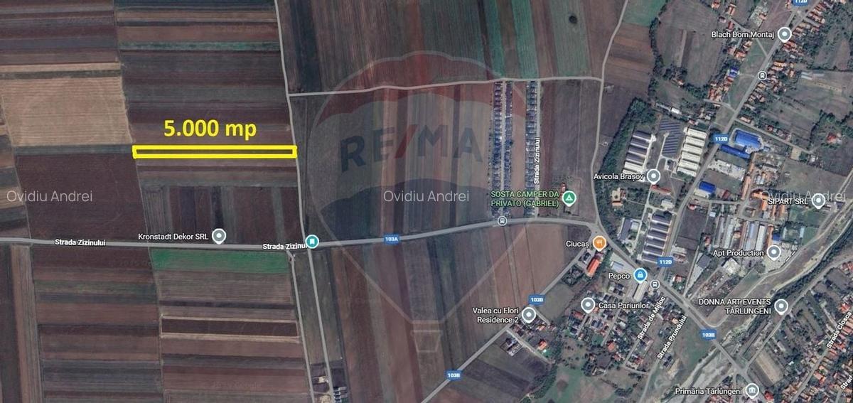 Teren Extravilan 5.000 mp Tarlungeni / Strada Zizinului - 5