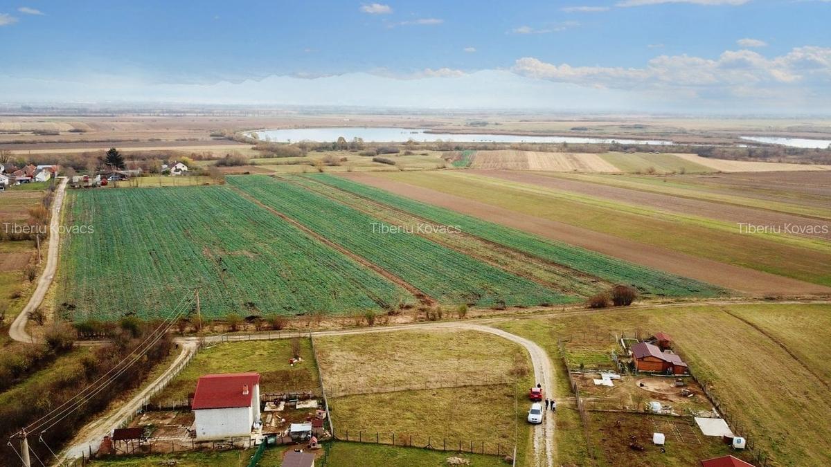 Parcele cu P.U.Z Halchiu - 9