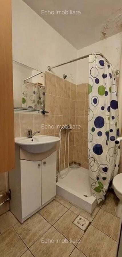 Si pentru clienti cu animal decompanie - garsoniera Podu Ros Mathaus - 1