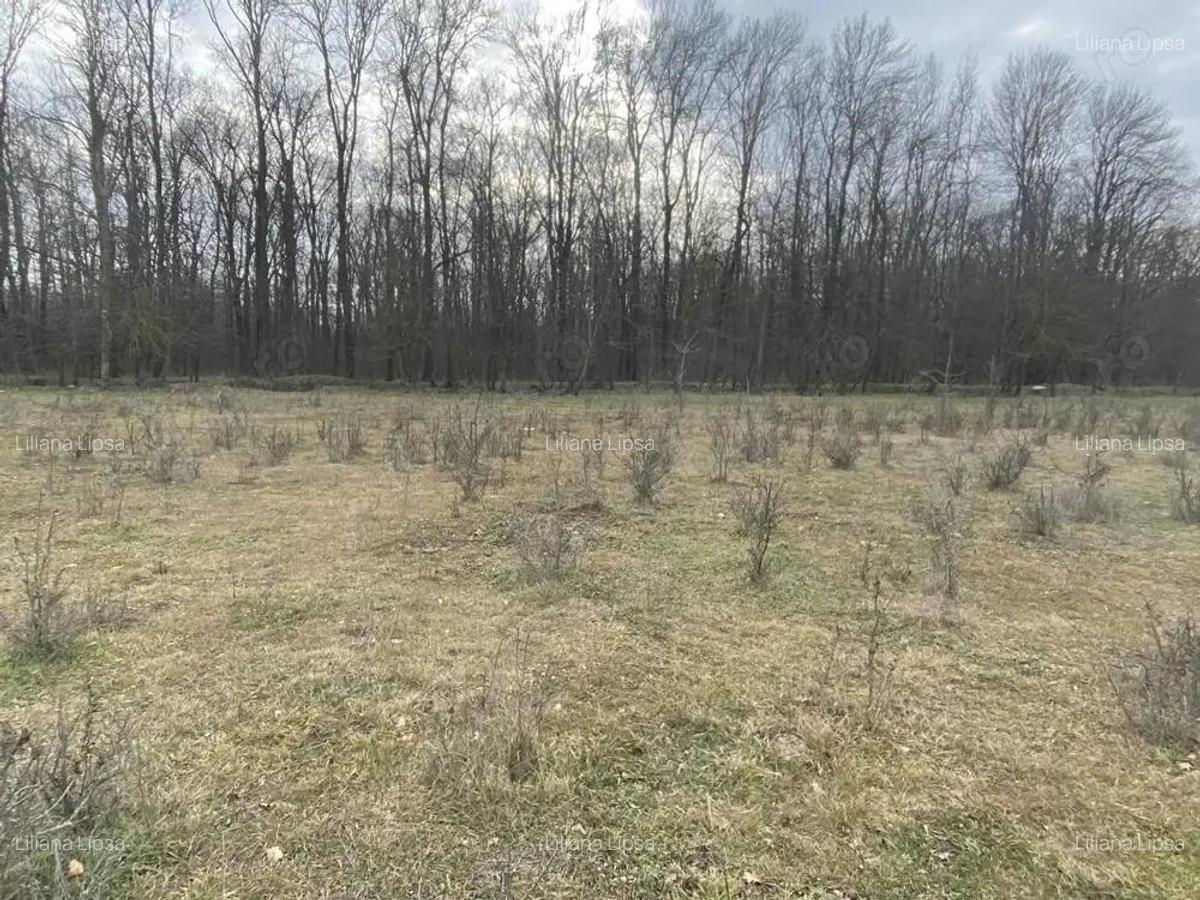 Pipera Padure Oxford Teren 950 mp - 5