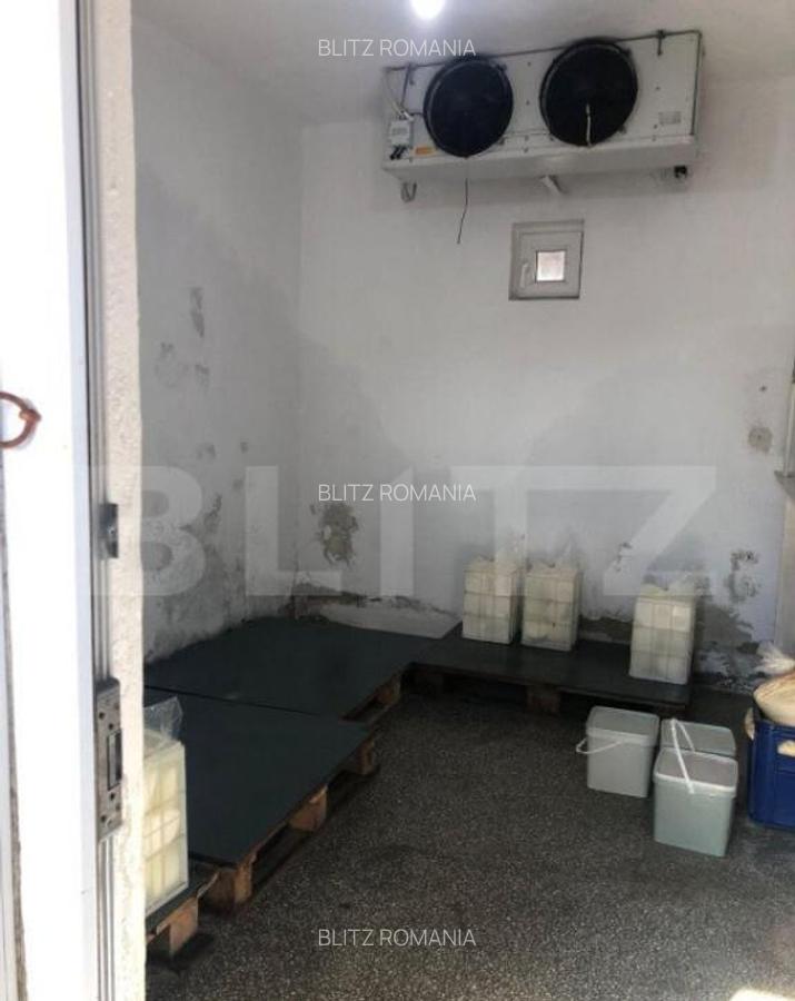 Afacere la cheie + casa, 160mp, Baraitaru - 2