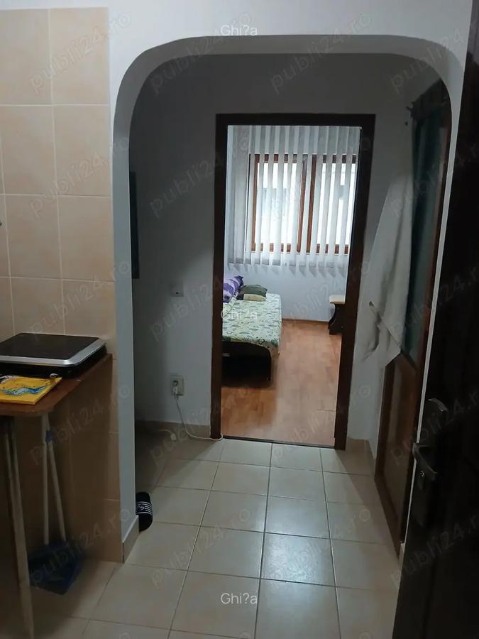 Garsoniera de vanzare Herculane - 4