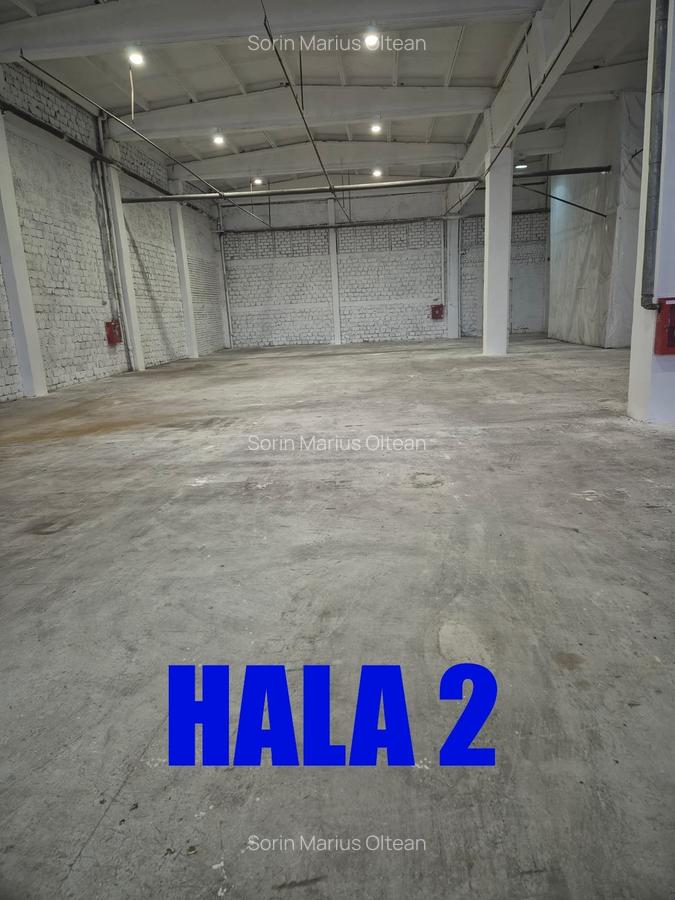 Hale de închiriat - 9