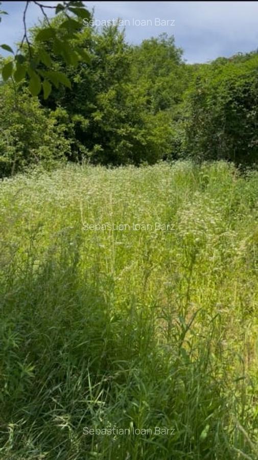 Teren 2.700mp cu PUZ in lucru pentru 3 unitati locative - 1