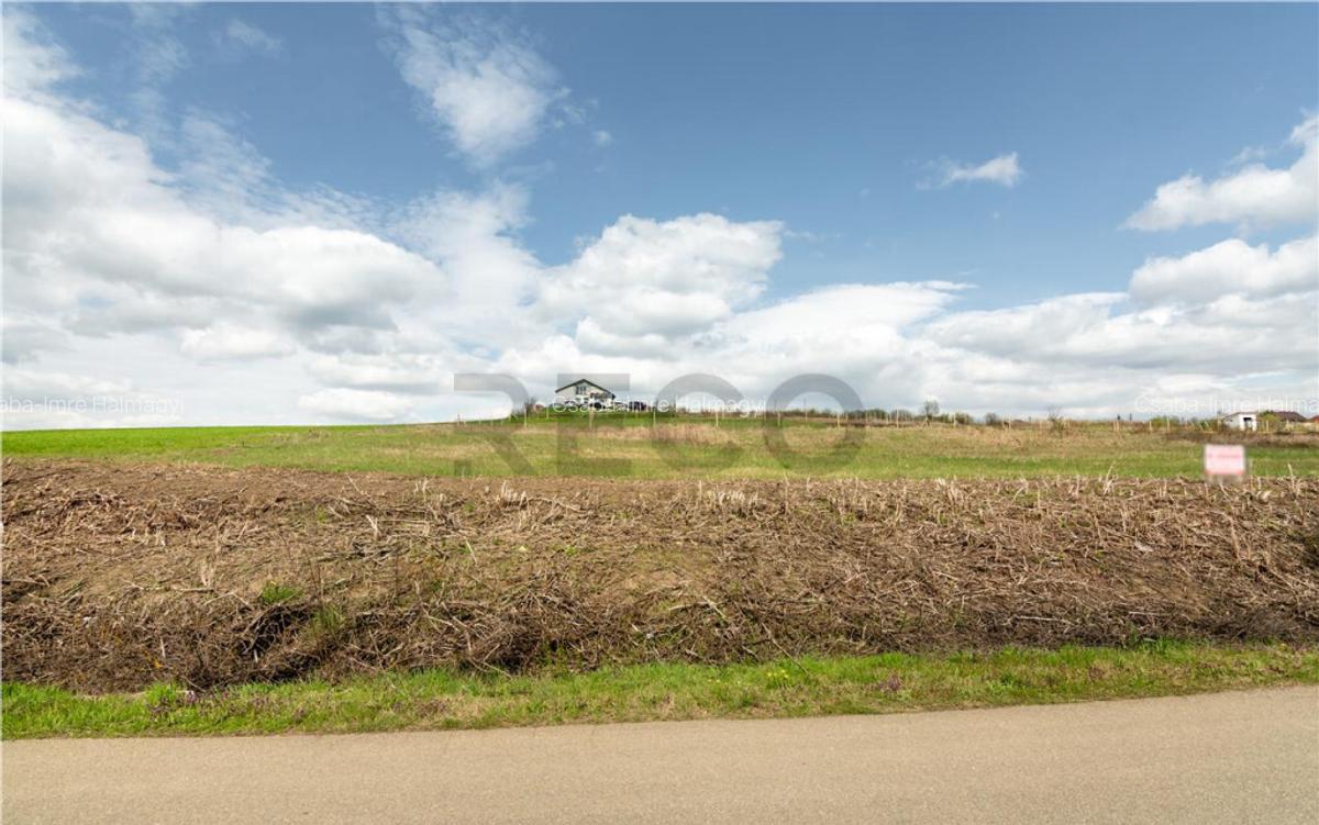 Teren intravilan Cetariu - 3