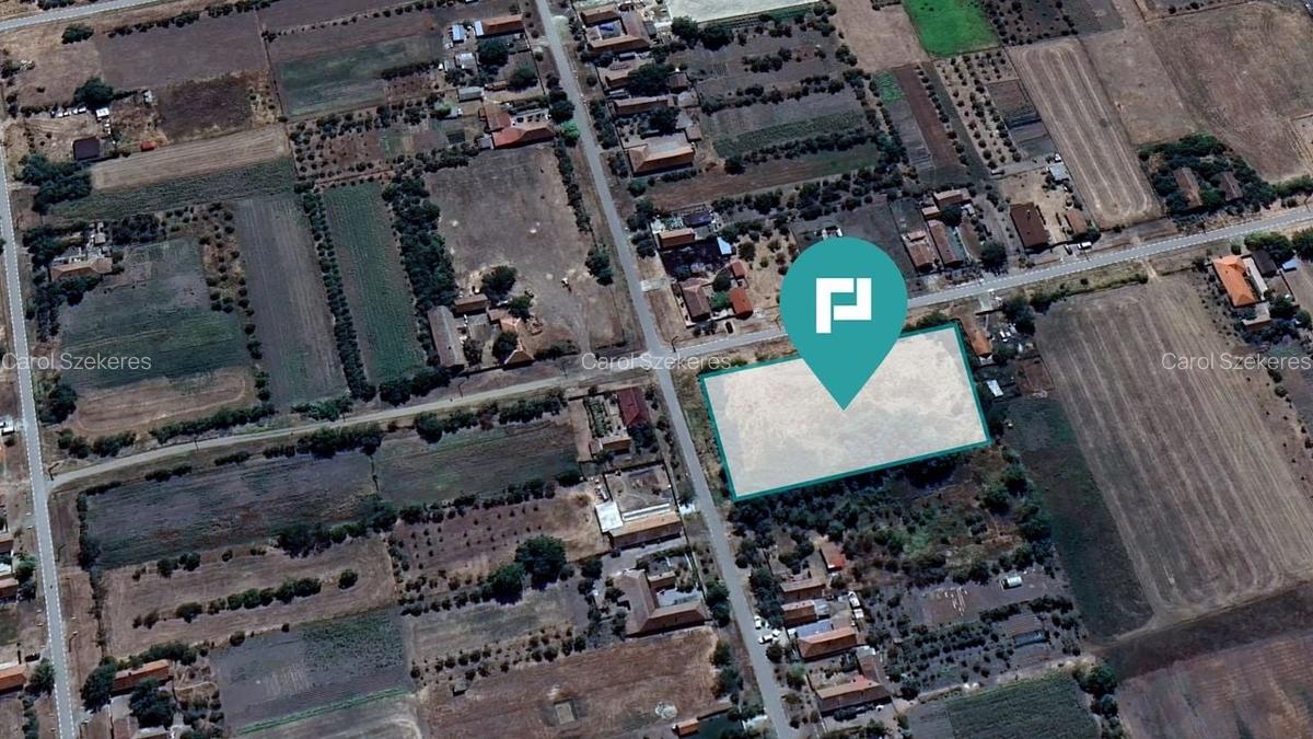 Teren intravilan 6115mp pentru investiții Firiteaz - 6