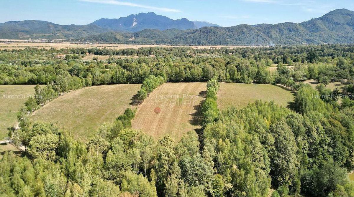 Teren intravilan, priveliste deosebita - 25