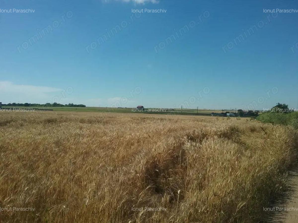 Teren extravilan 2.000 mp Techirghiol, jud. Constanta - 3