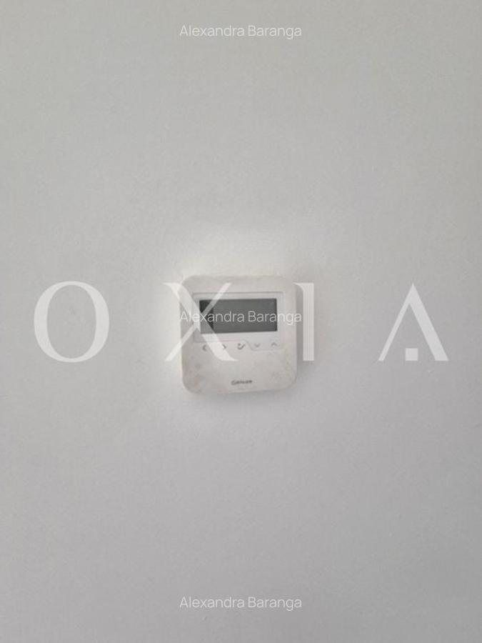 AX1091 Torontalului, Finisaje Premium, Loc De Parcare - 13