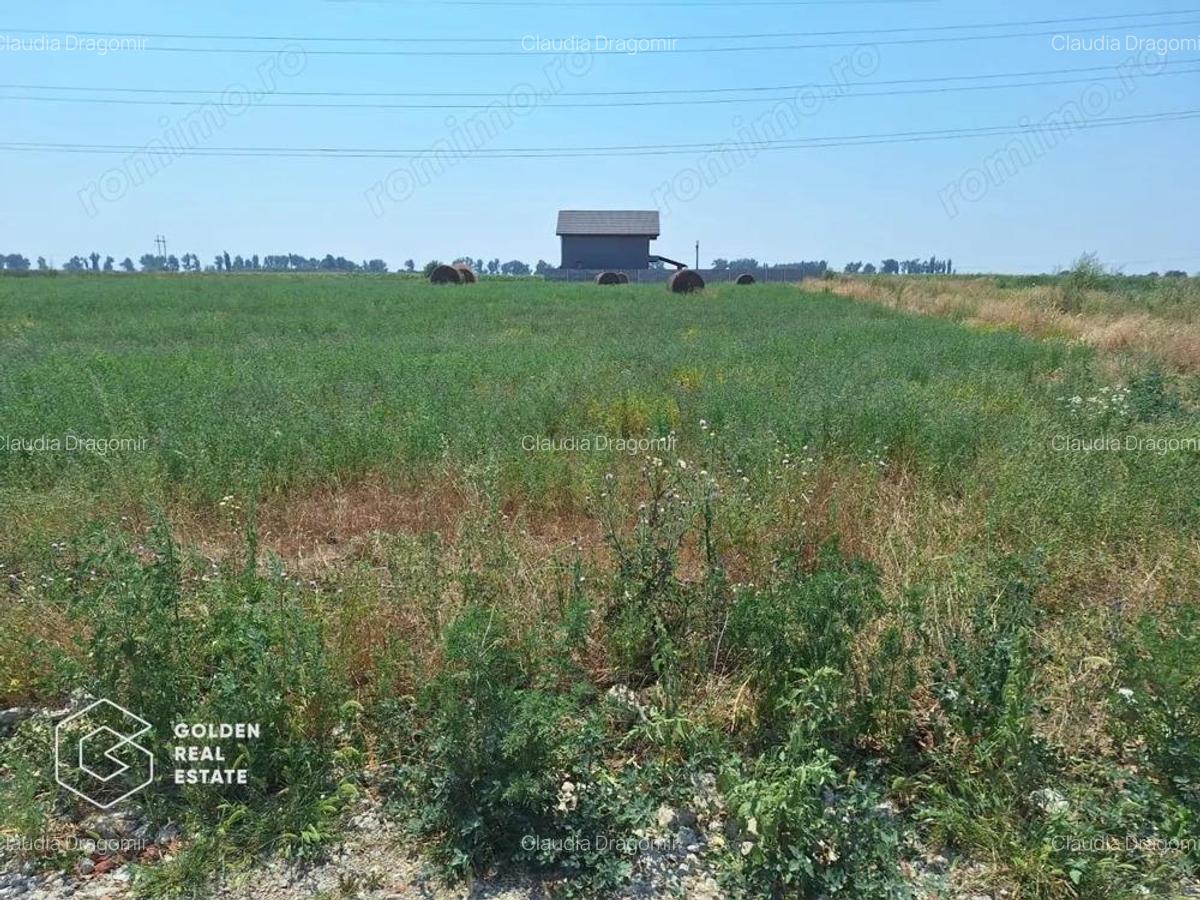 Teren pentru constructie duplex sau casa individuala, 840 mp, Chisoda - 4