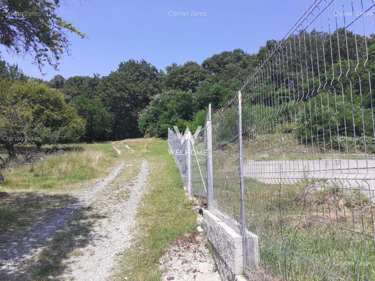 Teren intravilan constructii  - Cisnadioara - Sibiu - 6