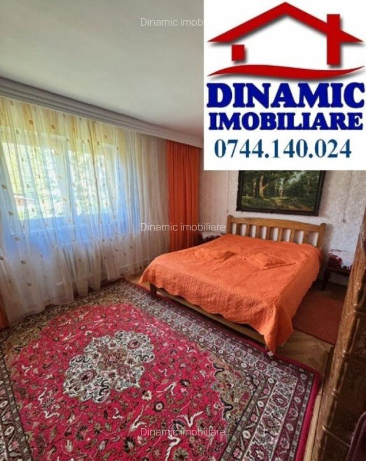 Casa Batca Doamnei + 2500 mp teren, 249 000 EURO - 13