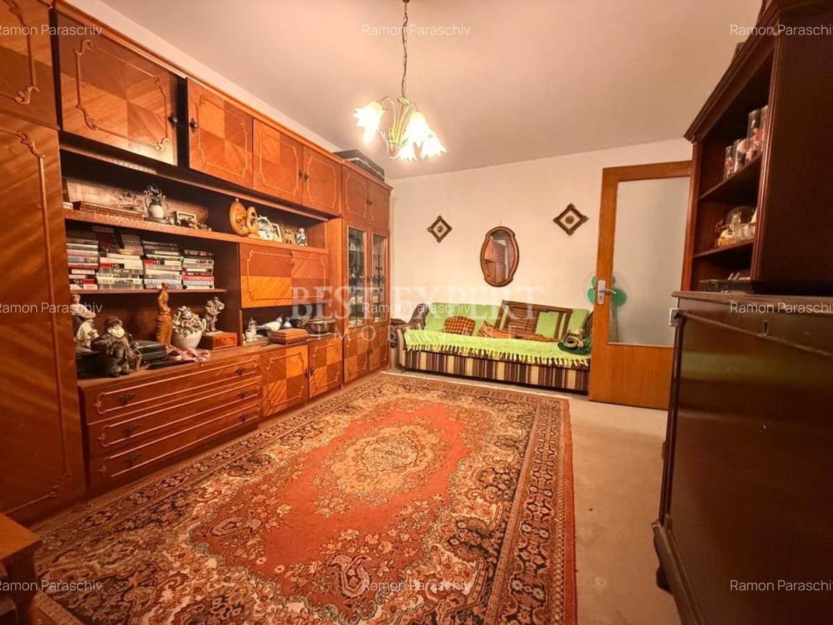 2 Camere Theodor Pallady Salajan - 3