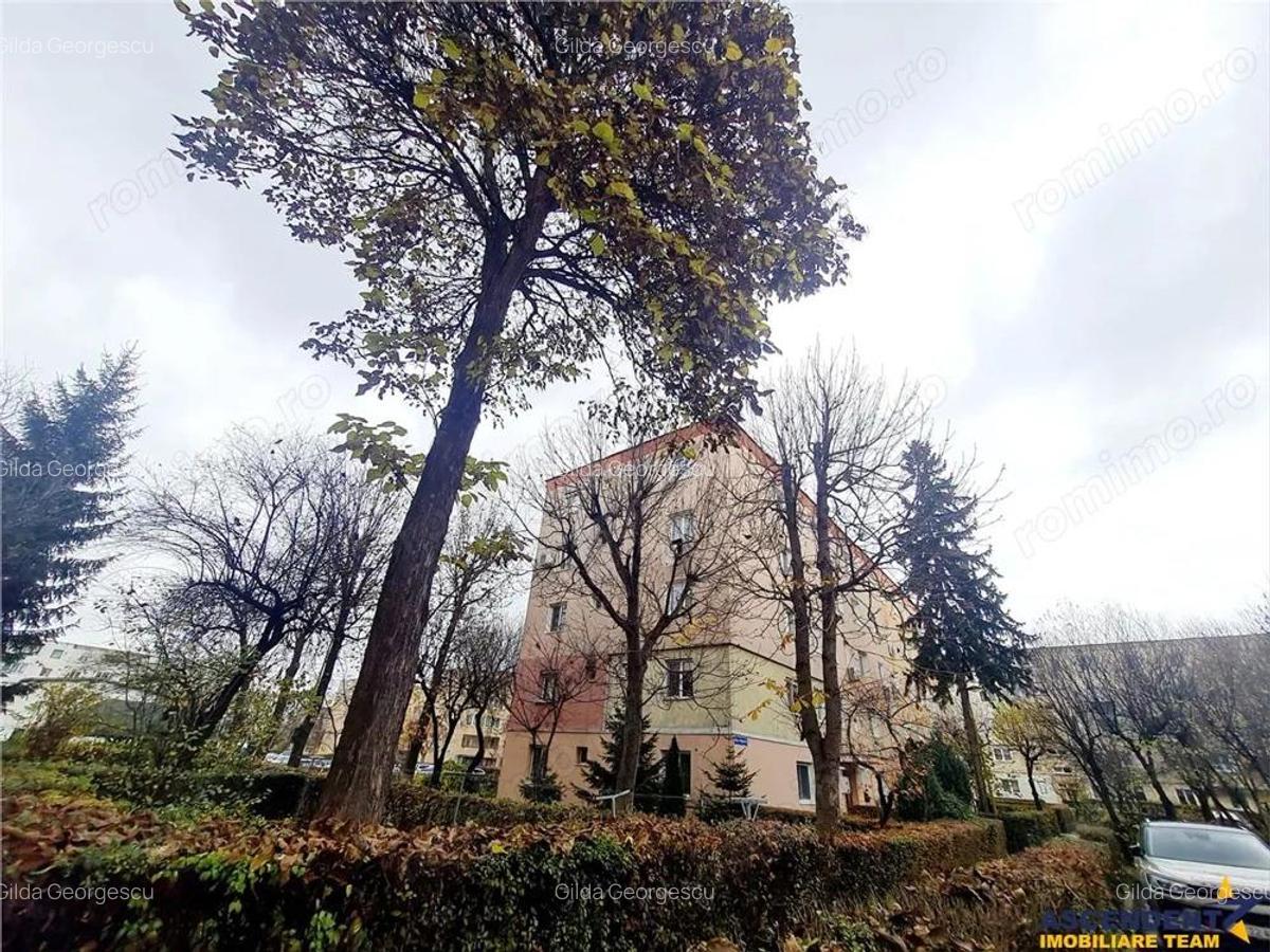 Cartierul Florilor, imobil renovabil, etaj intermediar, zona linistita, Brasov - 14